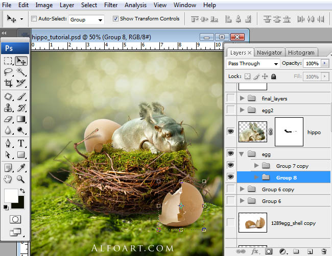 hippo, photoshop, nest, egg, shell, flying hippo, cute, baby, wings, hippopotamus, feathers